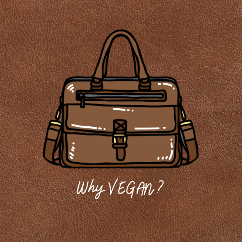 Vegan Leather: A Sustainable Choice for a Greener Future
